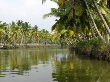 Kerala, Hindistan, 23 Nisan 2017: Kanalların, Kerala, Hindistan 'ın nehirlerinin ve kanallarının suları