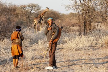 Kenya ovasındaki bir ağacın arka planında zürafası olan genç bir adam.