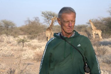 Erkek erkek ve erkek zürafa Namibya Afrika 'sında