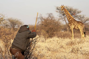 Namibya Afrika Safari