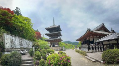 Her ikisi de renkli ağaçlar ve çiçeklerle çevrili zarif bir pagoda ve geleneksel bir binanın yer aldığı yemyeşil bitki örtüsüyle çevrili bir Japon tapınağının panoramik görüntüsü. Bulutlu gökyüzü dingin ve düşünceli bir atmosfer ekler..