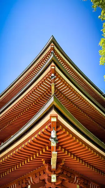 Geleneksel Japon tapınağı çatısının havadan görünüşü, özenle hazırlanmış mimari elementler, simetrik çizgiler ve açık mavi gökyüzü altında renkli detaylar..