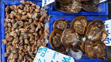 Deniz ürünleri pazarının canlı bir sahnesinde mavi kutularda çeşitli yengeçler ve kabuklu deniz hayvanları görülüyor. Taze ürünler, kağıt tabelalarda görünen fiyatlarla buzdan bir yatakta oturur ve deniz ürünlerinin enerji ve çeşitliliğini yakalar..