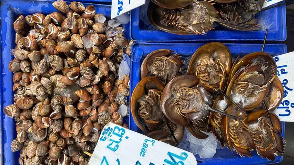 Deniz ürünleri pazarının canlı bir sahnesinde mavi kutularda çeşitli yengeçler ve kabuklu deniz hayvanları görülüyor. Taze ürünler, kağıt tabelalarda görünen fiyatlarla buzdan bir yatakta oturur ve deniz ürünlerinin enerji ve çeşitliliğini yakalar..