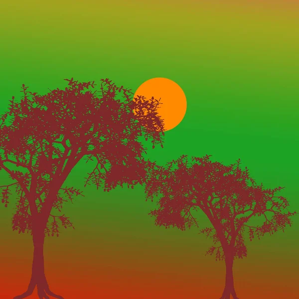 Φοίνικα Δέντρο Στην Παραλία Καλοκαιρινό Ηλιοβασίλεμα Τροπικό Πολύχρωμο Φόντο Δέντρα — Φωτογραφία Αρχείου