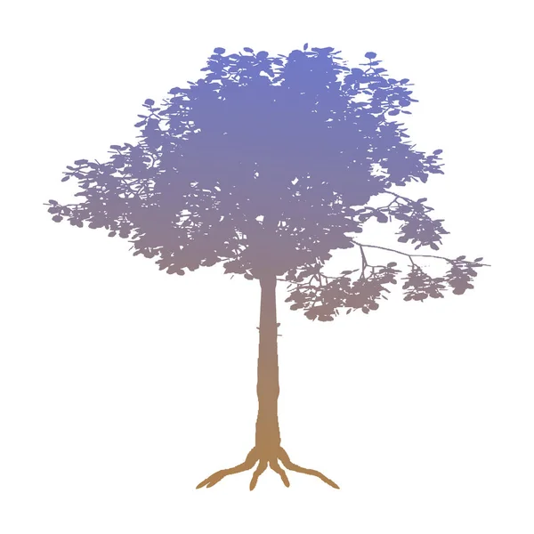 Tree Gradient Silhouette White Background — Stock Photo, Image