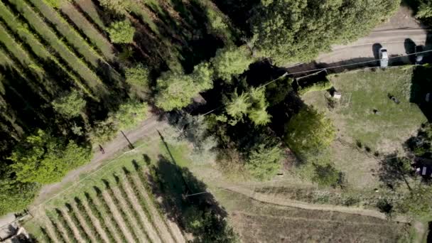 Drone Top View Footage Tuscany Villa Vines Sunny Day Italy — Vídeo de Stock