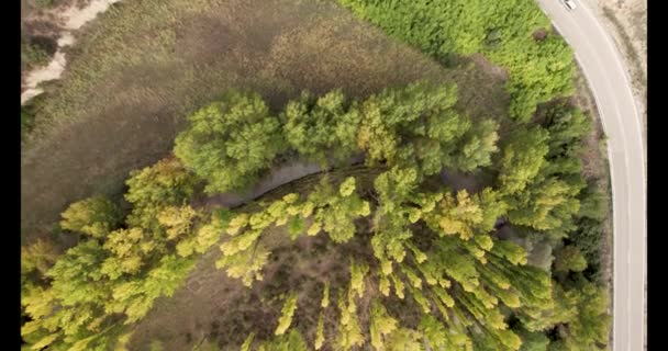 Vrcholný Let Dronu Nad Žlutými Poplary Podzim Středověké Vesnice Albarracin — Stock video