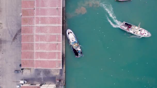 カモメの間を移動しながら いくつかの漁船の上から4K飛行軌道上のビューをドローン 高品質4K映像 — ストック動画