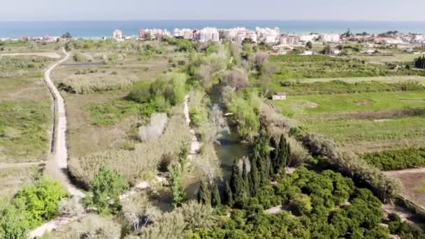 Drone Flight Footage Ana River Mediterranean Sea Riverbank Green Trees — Stock videók