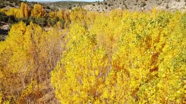 西班牙阿拉贡特鲁尔省Albarracin山区的4K视频飞越翻成黄色的杨树高质量的4K视频 — 图库视频影像