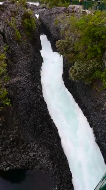 Vertical Footage Glacial Waters Motion Downstream Petrohue Llanquihue National Park — Vídeo de stock