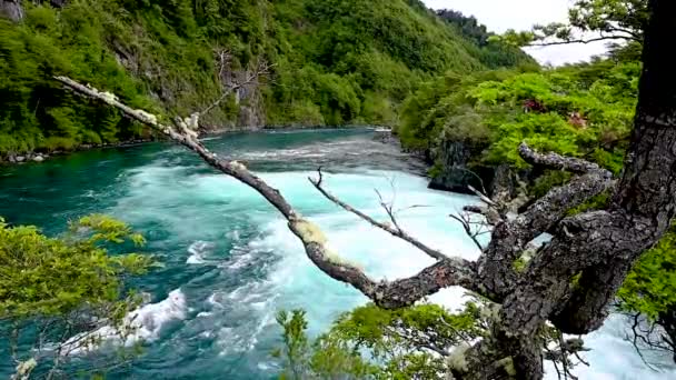 Glacier Blue Waters Footage Running Downstream Trees Calbuco Volcano Chile — Stockvideo