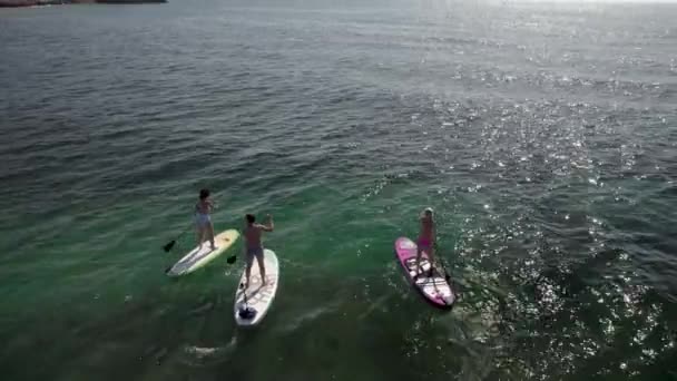 Footage Group People Aerial Drone View Directly Yoga Sup Stand — Stockvideo