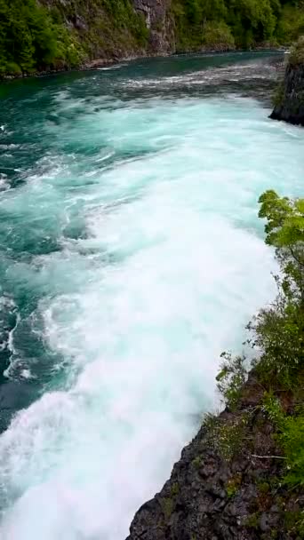 Cold Blue Glacial Waters Flowing Trees Summer Snow Break Patagonia — Wideo stockowe