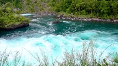 Glacial waterfall with running fresh blue water motion among trees in Llanquihue National Park in Chile. High-quality FullHD footage