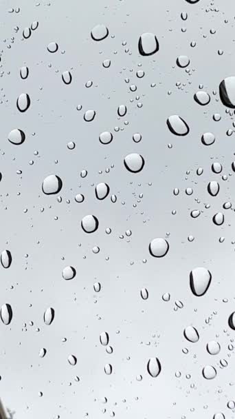 Video Footage Real Rain Falling Glass Forming Small Water Drops — 图库视频影像