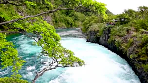 Ледниковая Река Голубоватой Водой Текущей Вниз Течению Среди Зеленой Растительности — стоковое видео