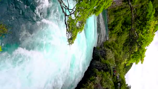 Images Verticales Rivière Glaciaire Coulant Aval Parmi Végétation Verte Patagonie — Video