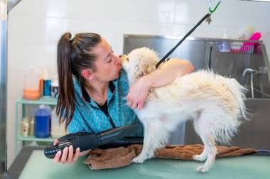 Genç bir kadın tımar ederken beyaz bir köpeği öpüyor.