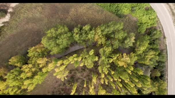 Drone Large Group Yellow Green Poplars Albarracin Spain High Quality — Vídeo de stock