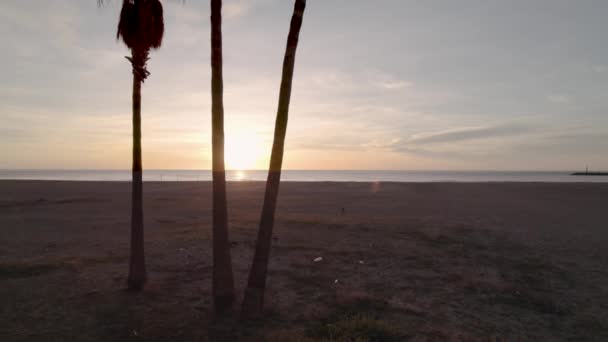 Palmiye Ağaçları Spanya Nın Akdeniz Kentinde Baş Döndürücü Bir Gündoğumu — Stok video