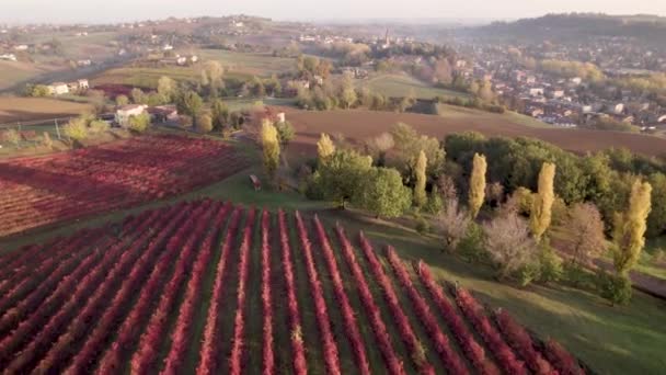 Vista Aérea Entre Vinhas Direção Castelvetro Modena Itália Imagens Alta — Vídeo de Stock