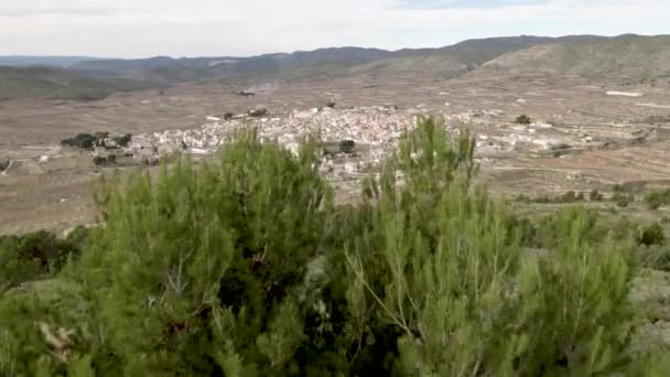 Widok Powietrza Małą Wioskę Alcublas Wśród Drzew Migdałowych Rolnictwa Prowincji — Wideo stockowe