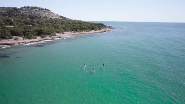 Aerial Drone Photo Fit Men Practicing Sup Stand Paddle Surfboard — Stock Video
