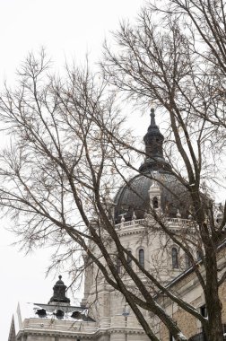Minneapolis 'teki St. Paul Katedrali' nin soğuk gri kışı, Minnesota, ABD. Yüksek kaliteli fotoğraf.