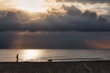 İnsanlar ve köpekler sahilde huzurlu bir gündoğumu yürüyüşünün tadını çıkarıyorlar, doğanın güzelliği arasında huzurlu bir bağlantı anı yaratıyorlar.