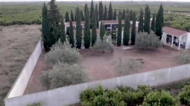 Portakal ağaçları ve piramit selvileri arasındaki eski küçük bir mezarlık üzerinde insansız hava aracı görüntüsü. Yüksek kalite 4k görüntü