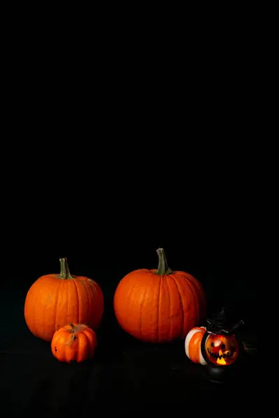 Cadılar Bayramı balkabaklarının büyüleyici gösterisi karanlık bir zemin karşısında mevsimlik temalar ve kutlamalar için mükemmel.