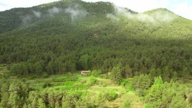 Dağ manzarası yemyeşil ormanlık, tenha konutlar, alçak asılı puslu bulutlar saran zirve