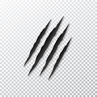 Pençeler arka planda izole edilmiş hayvanları tırmalıyor. Vektör illüstrasyonu.