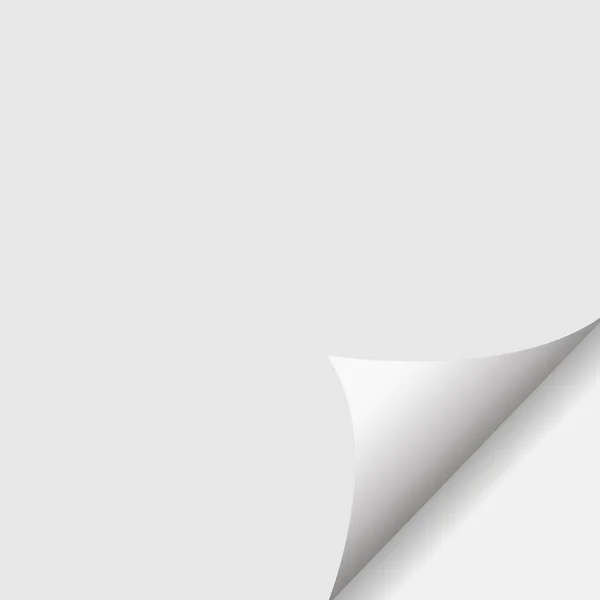 Gekräuselte Ecke Aus Papier Mit Schatten Auf Dem Hintergrund Vektorillustration — Stockvektor