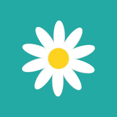 Papatya çayı beyaz arka planda izole edilmiş. Vektör çizimi. Eps 10.