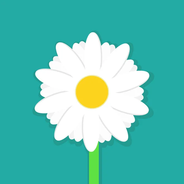 Daisy Chamomile Isolated White Background Vector Illustration Eps —  Vetores de Stock