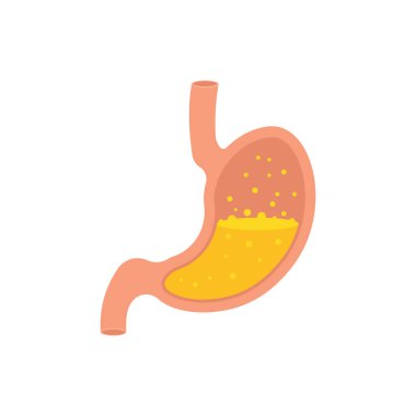 Mide ikonu. İnsan iç organları sembolü. Beyaz arka planda izole edilmiş. Vektör çizimi. Eps 10.