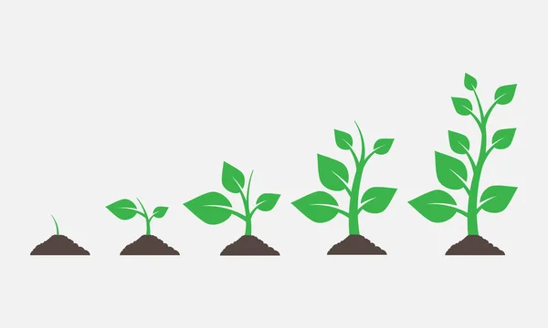 Plants Growing Ground Vector Illustration Eps — Vetor de Stock