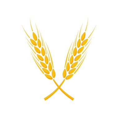 Tarım Buğday Logosu Şablonu. Vektör illüstrasyonu 10.