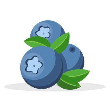 Beyaz arka planda izole edilmiş olgun bilberry ikonu. Vektör çizimi. Eps 10.