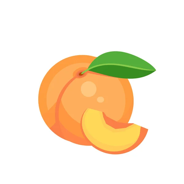 Peach Fruit Isolated White Background Vector Illustration Eps — Vetor de Stock