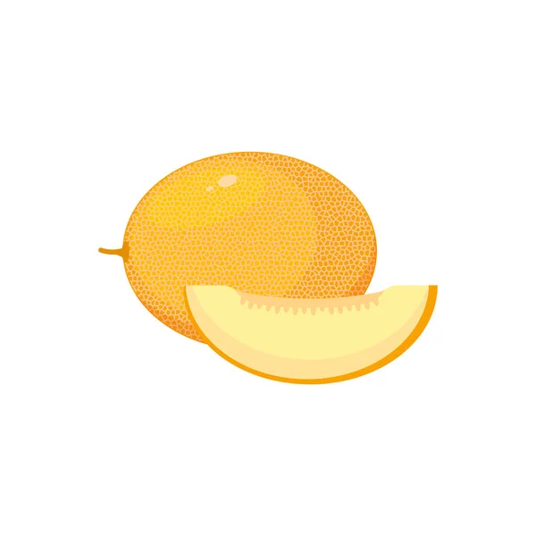 Melon Isolated White Background Vector Illustration Eps — Vetor de Stock