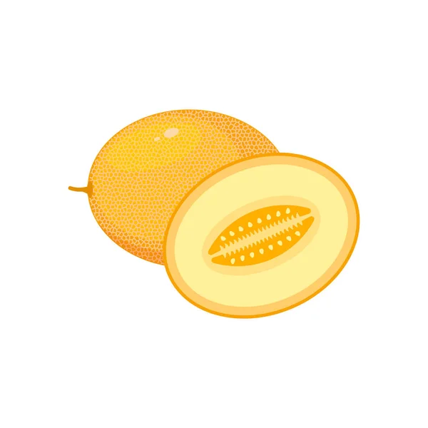 Melon Isolated White Background Vector Illustration Eps — Archivo Imágenes Vectoriales