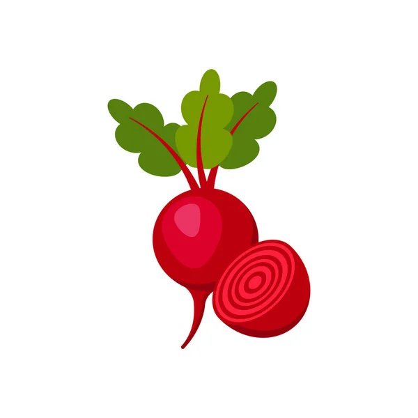 Beet Isolated White Background Vector Illustration Eps — 스톡 벡터