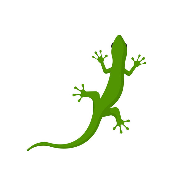 lizard isolated on white background. Vector illustration. Eps 10.