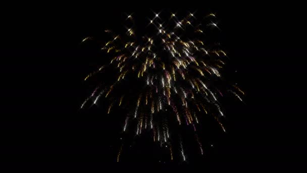 Fireworks Animation Optional Luma Matte Alpha Luma Matte Included Video — Vídeo de stock