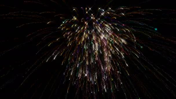 Fireworks Animation Optional Luma Matte Alpha Luma Matte Included Video — Stock Video