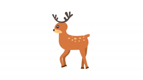 Cartoon Dancer Deer Walking Animation Optional Luma Matte Alpha Luma — Vídeo de stock